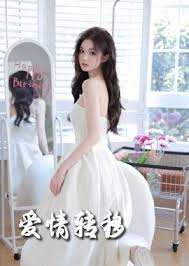 爱情转移海报