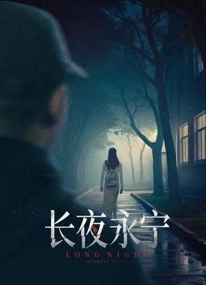 长夜永宁海报