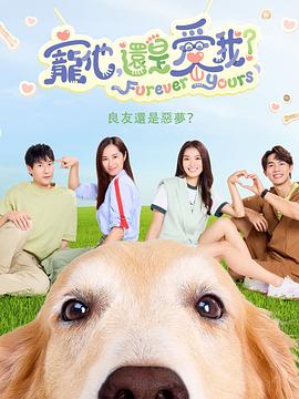 宠他，还是爱我？海报