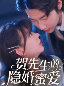贺先生的隐婚蜜爱海报