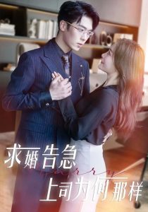 求婚告急上司为何那样海报