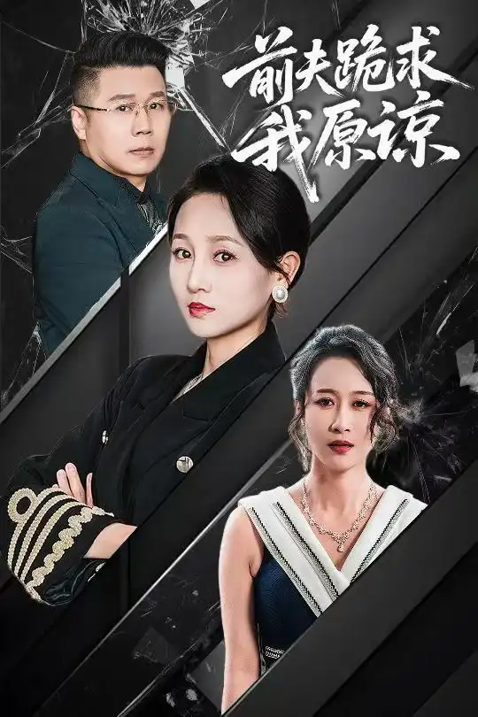 前夫跪求我原谅海报