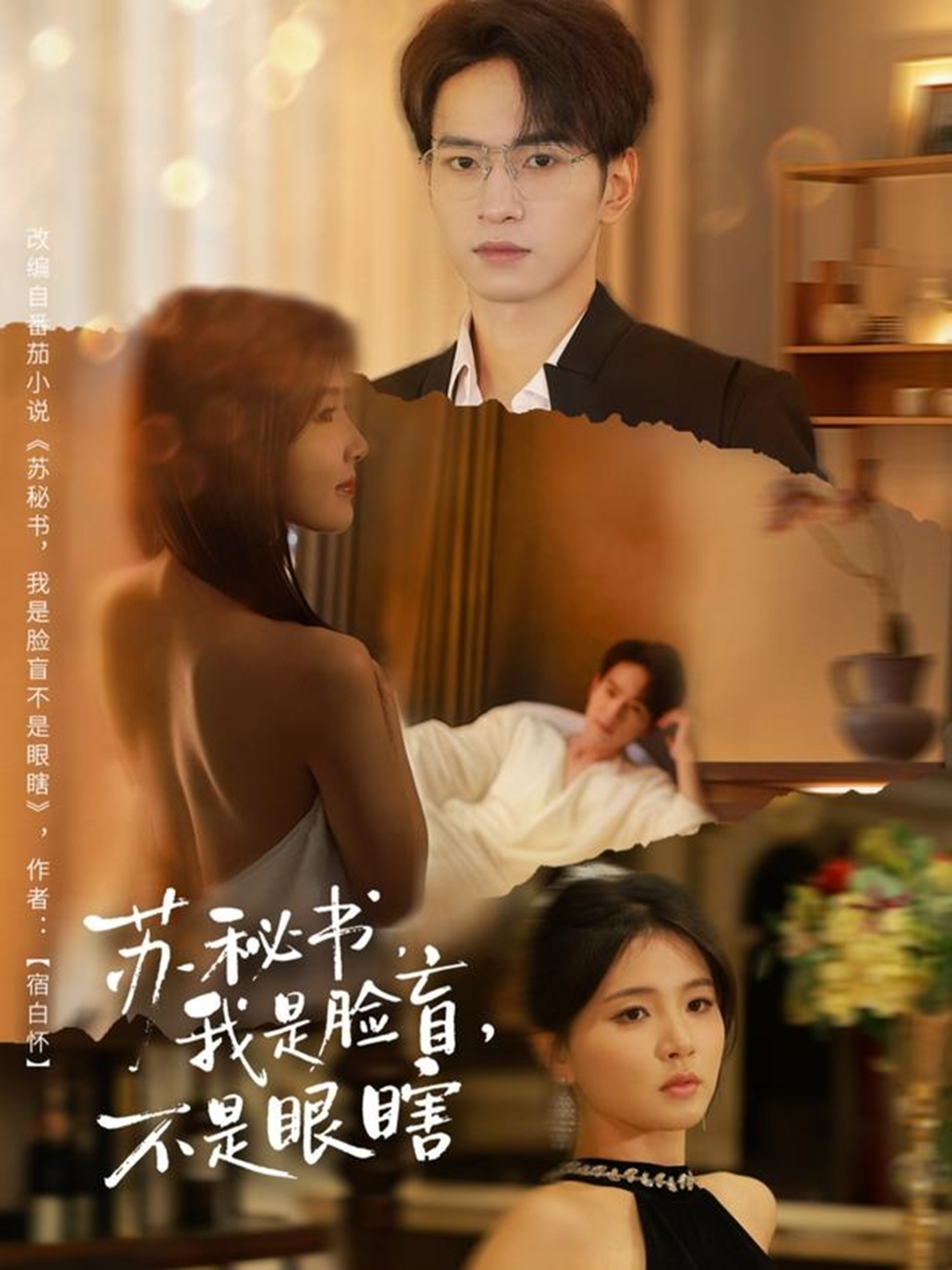 苏秘书我是脸盲不是眼瞎海报