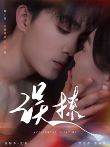 再次倾心误撩海报