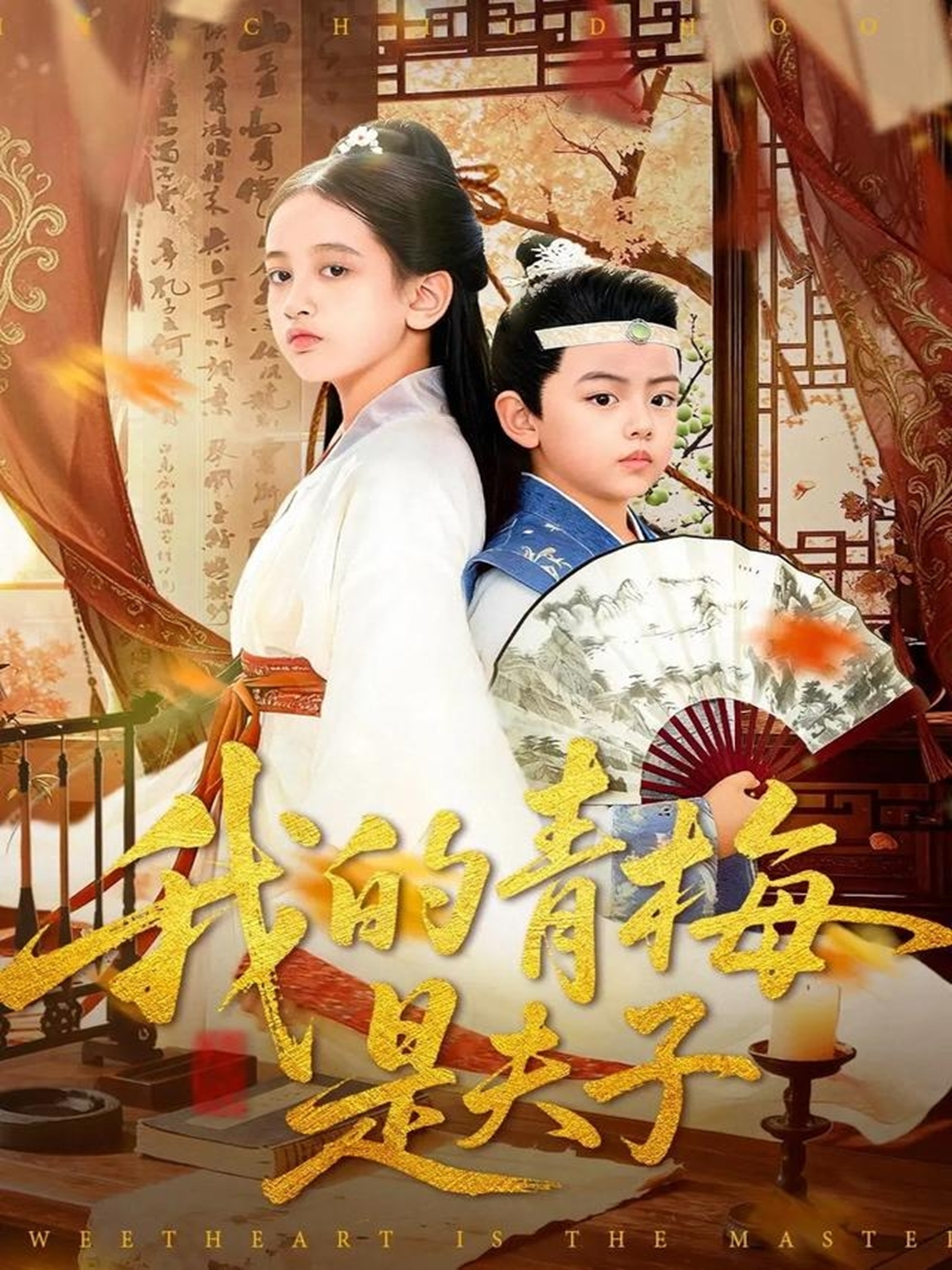 我的青梅是夫子海报