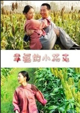 幸福的小杨屯海报