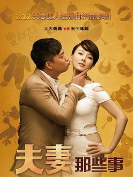 夫妻那些事海报
