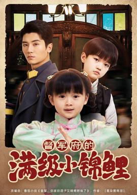 督军家的奶团子锦鲤附体了海报