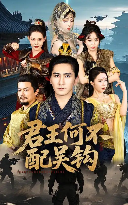 君王何不配吴钩海报