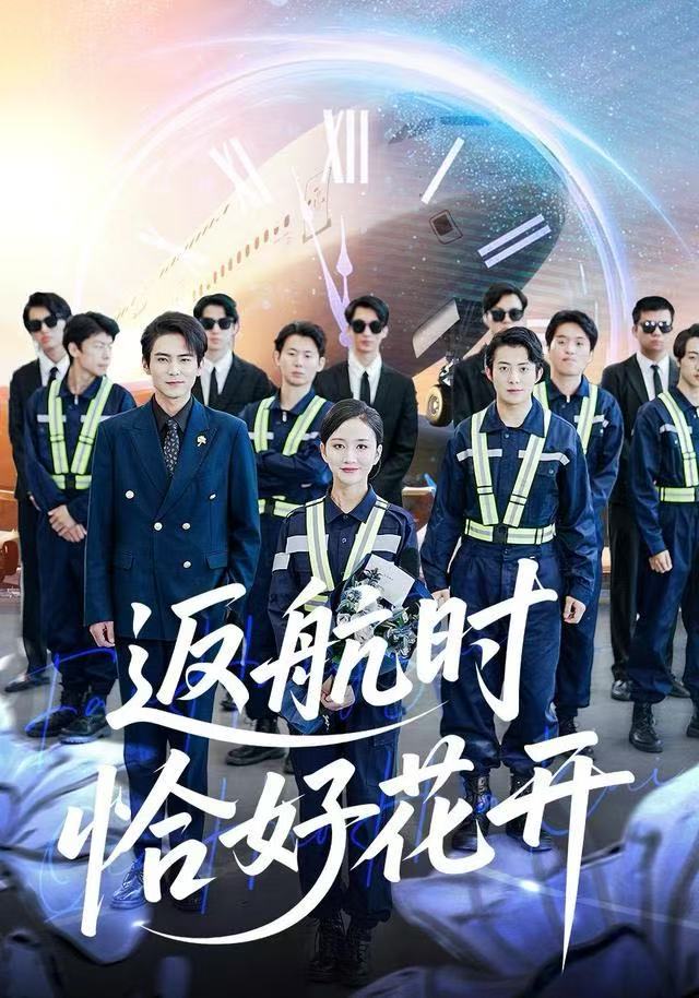 返航时恰好花开海报