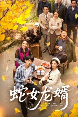 蛇女龙婿海报