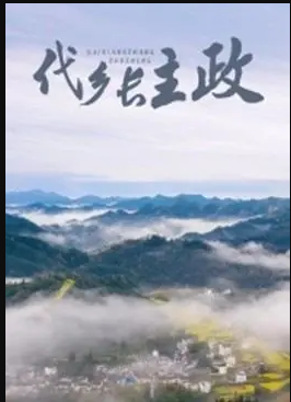 代乡长主政海报