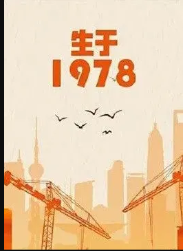 生于1978海报