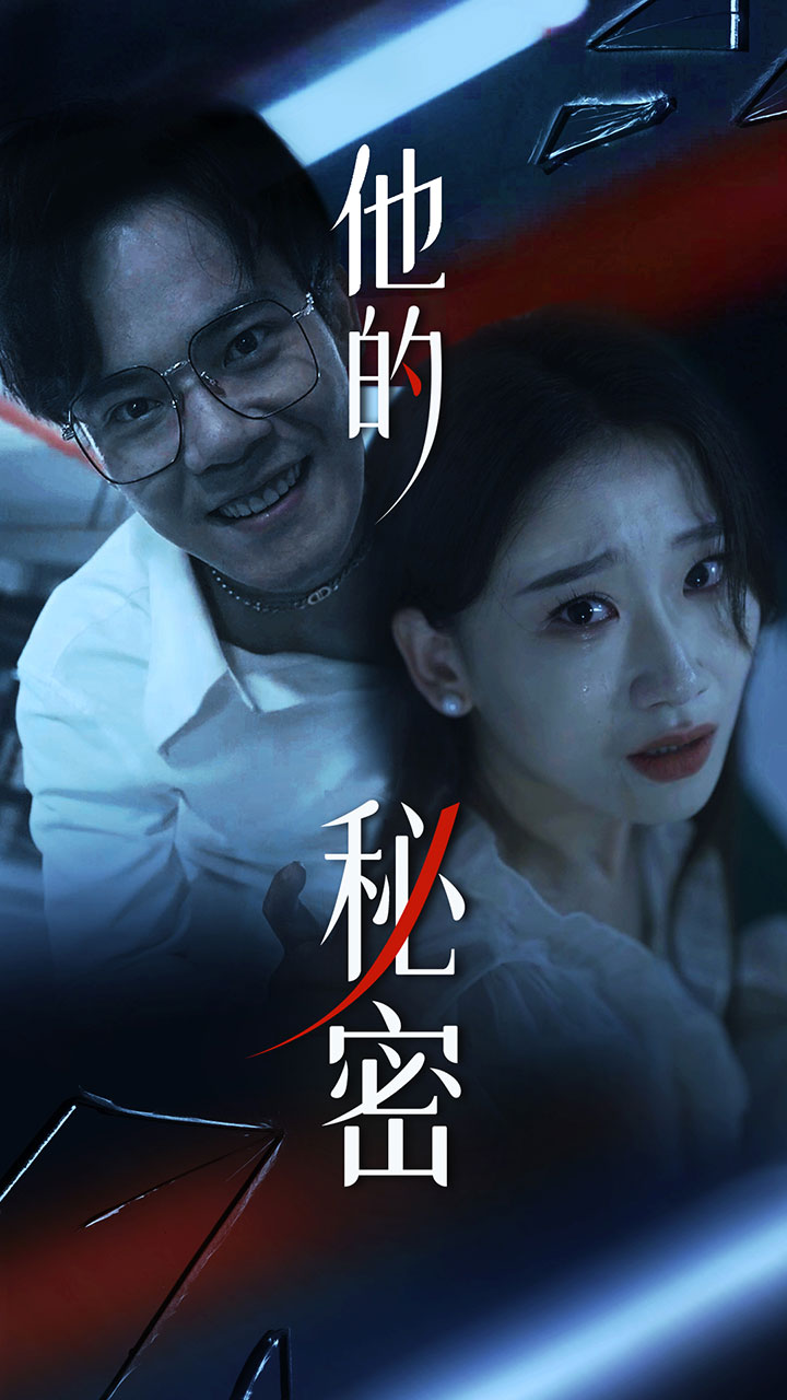 他的秘密海报