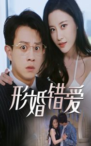 形婚错爱海报