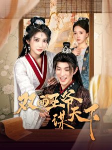 双面王爷谋天下海报