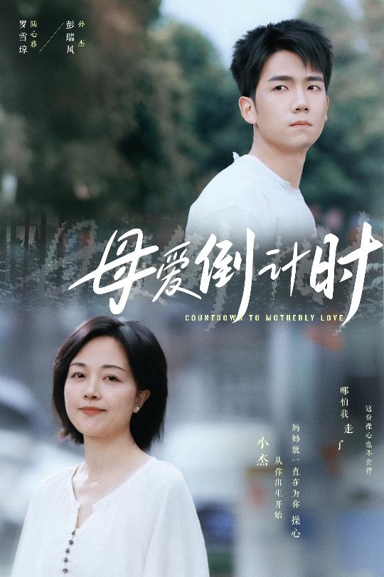 母爱倒计时海报