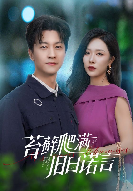 情途难负海报