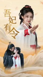 吾妃有令海报