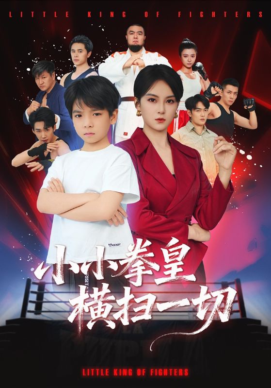 小小拳皇横扫一切海报