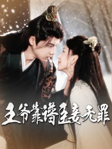 王爷靠谱臣妾无罪海报