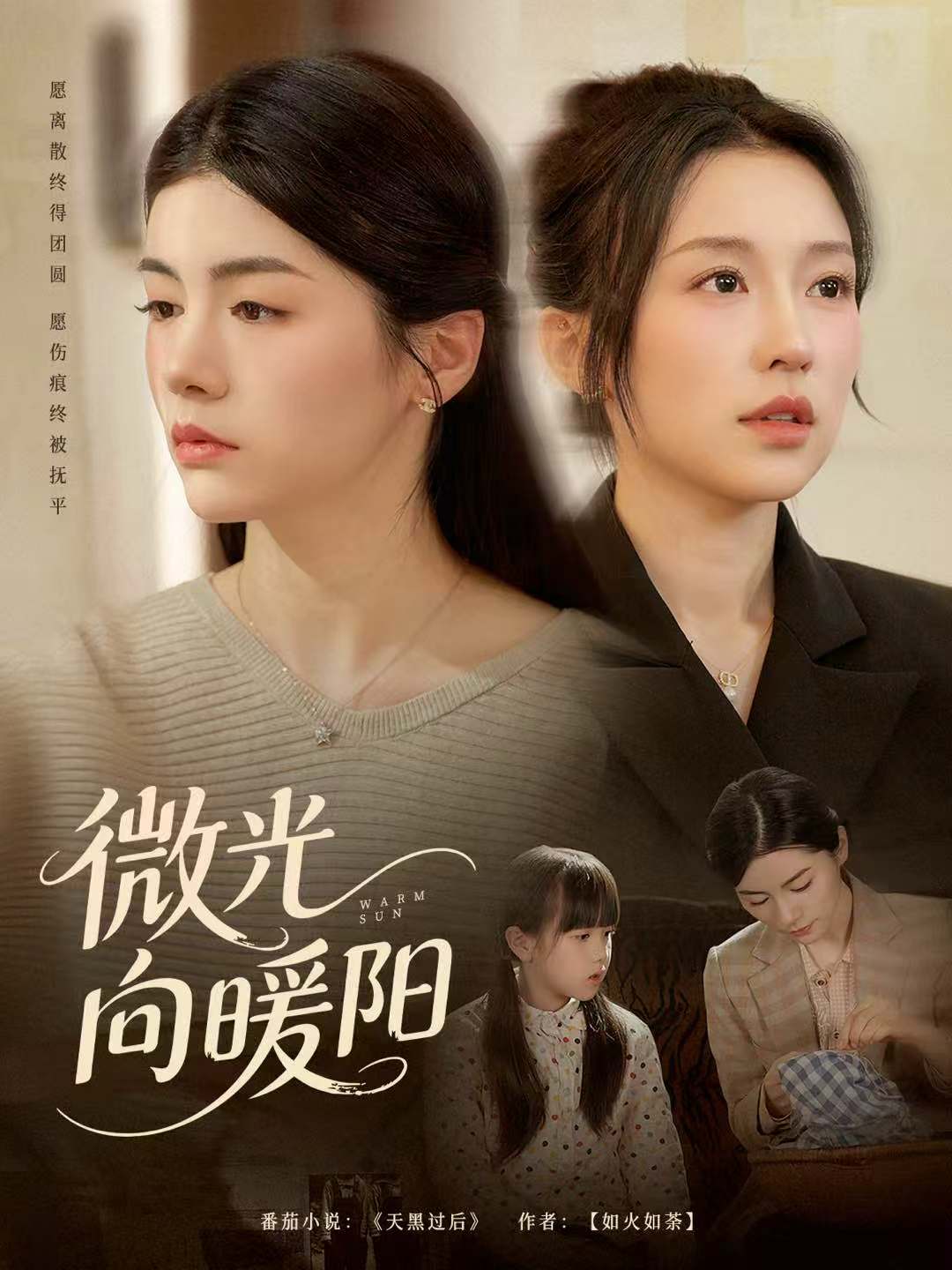 微光向暖阳海报