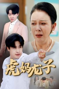 虎妈龙子海报