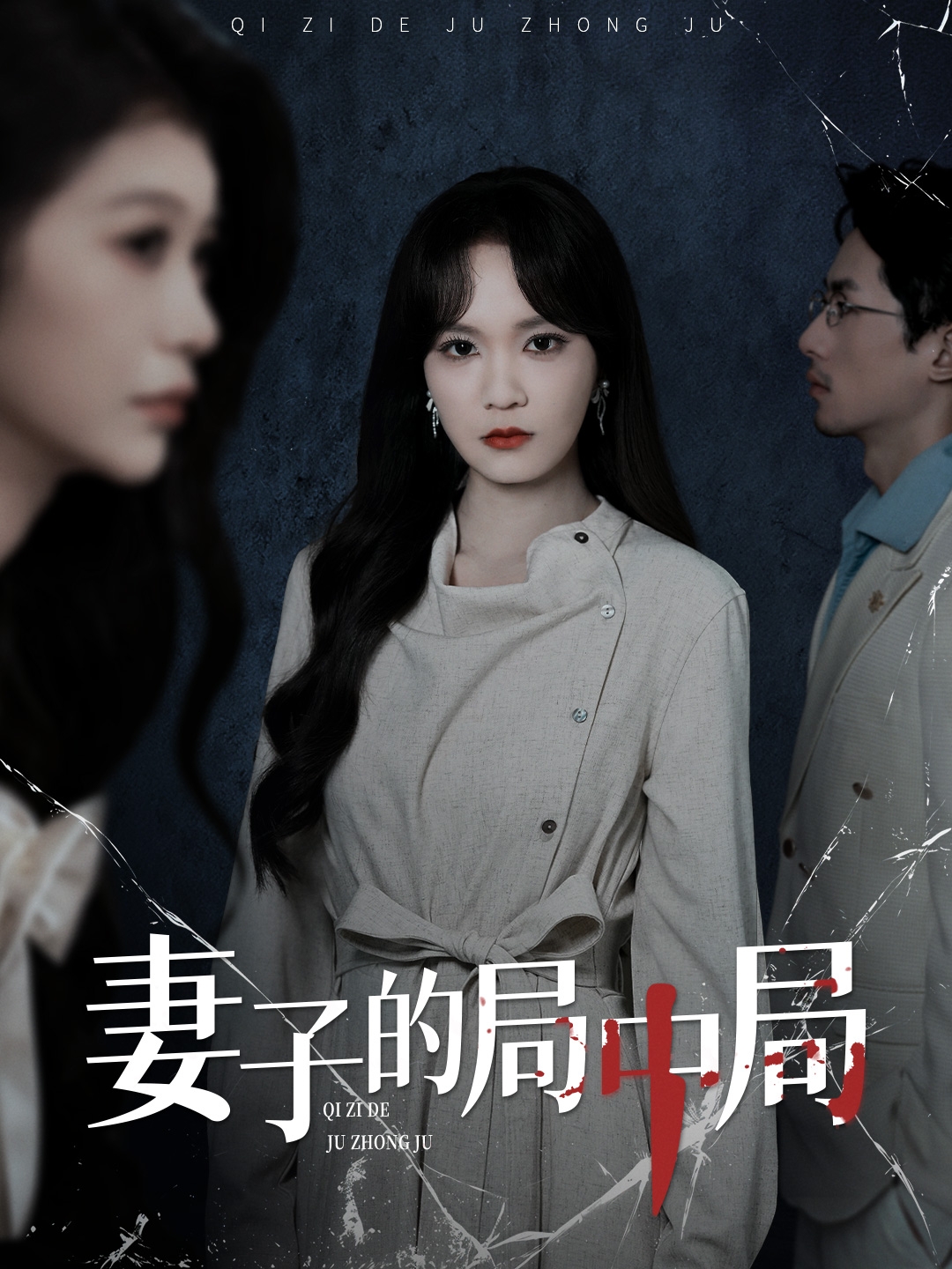 妻子的局中局海报