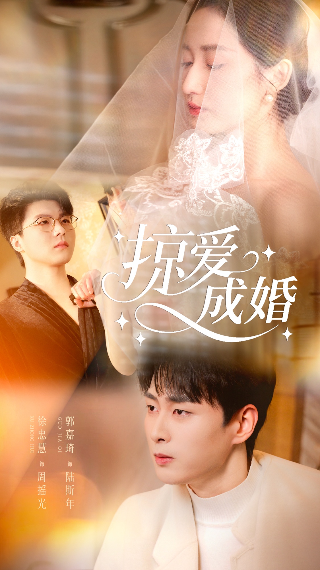 掠爱成婚海报