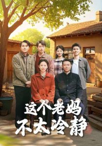 这个老妈不太冷静海报