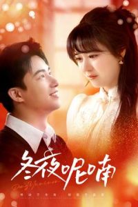 冬夜呢喃海报