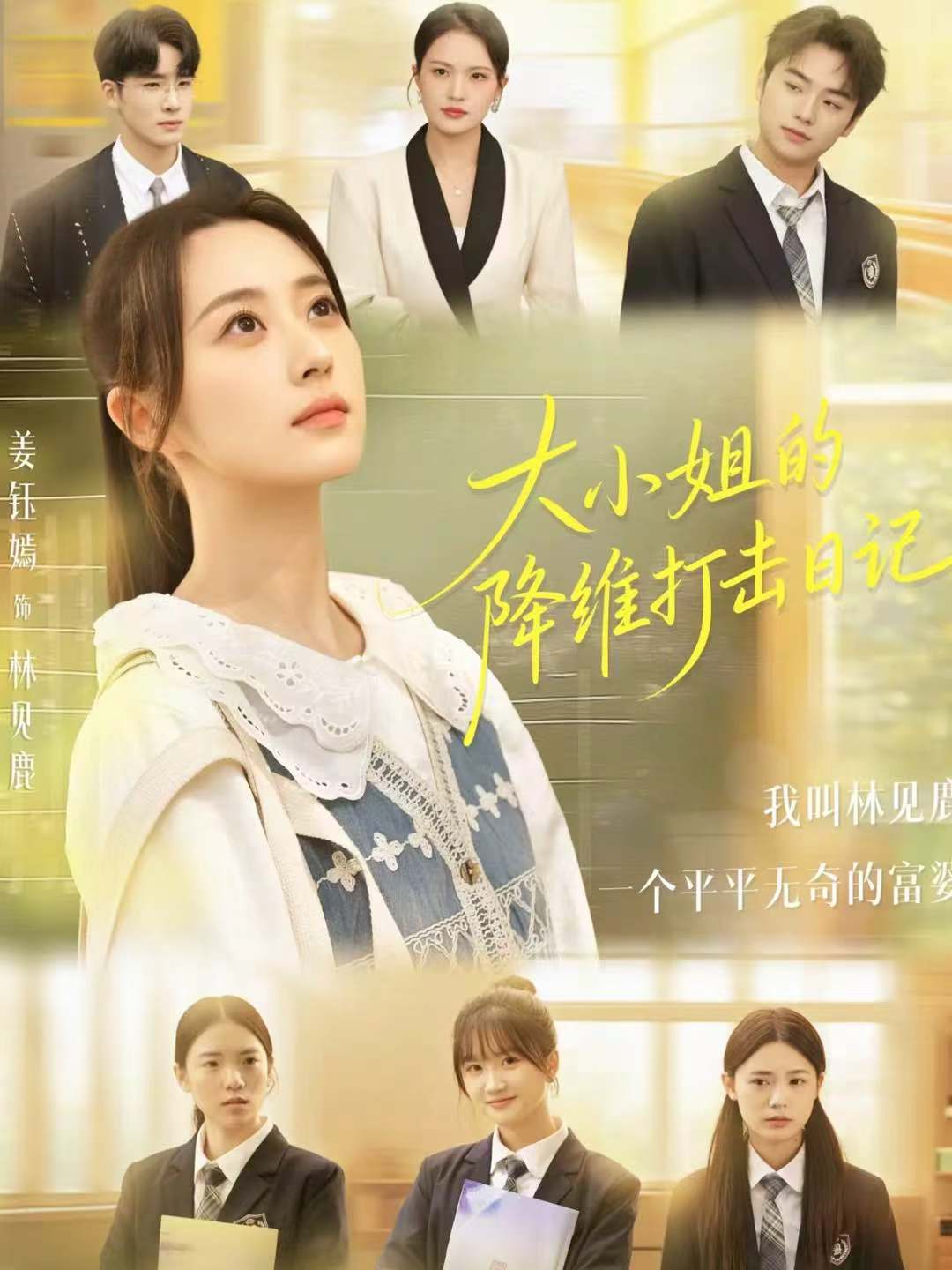 大小姐的降维打击日记海报