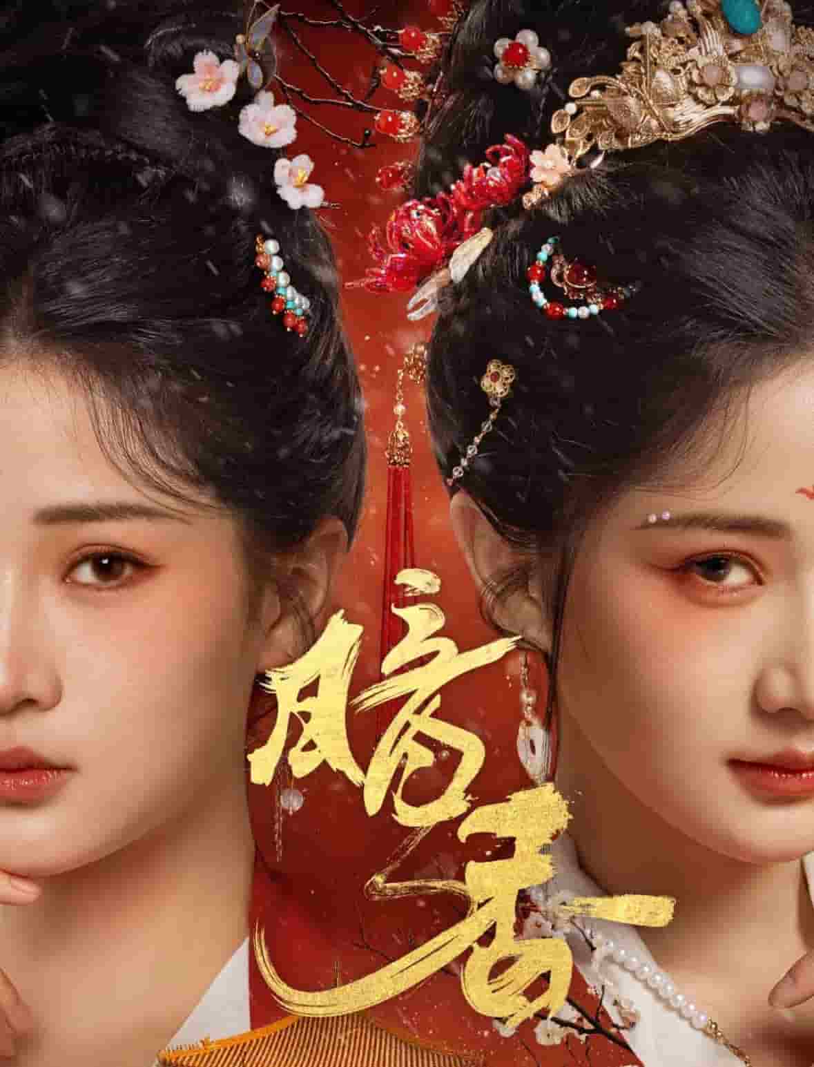 暗香（短剧版）海报