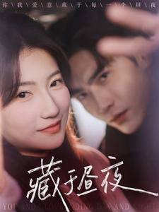 藏于昼夜海报