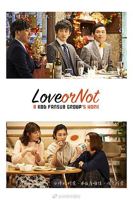 Love or Not海报