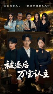 被逐后万宝认主海报
