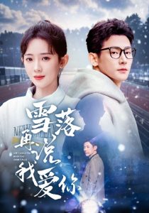 雪落再说我爱你海报