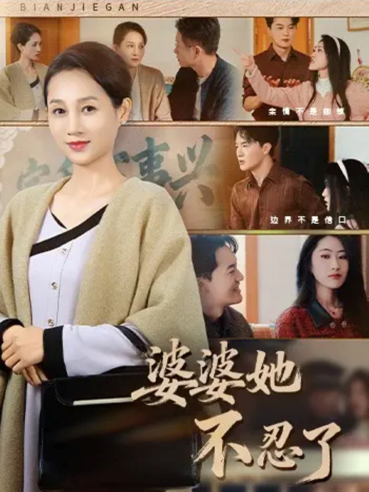 婆婆她不忍了海报