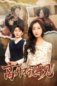离开不说再见海报