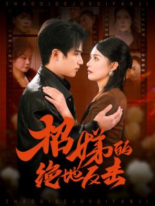 卷帘待得月华生海报