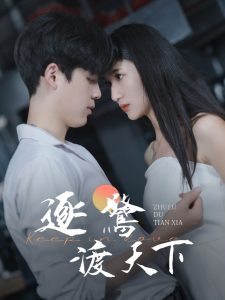 逐鹭渡天下海报