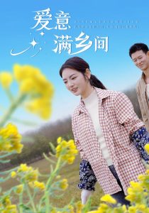 爱意满乡间海报