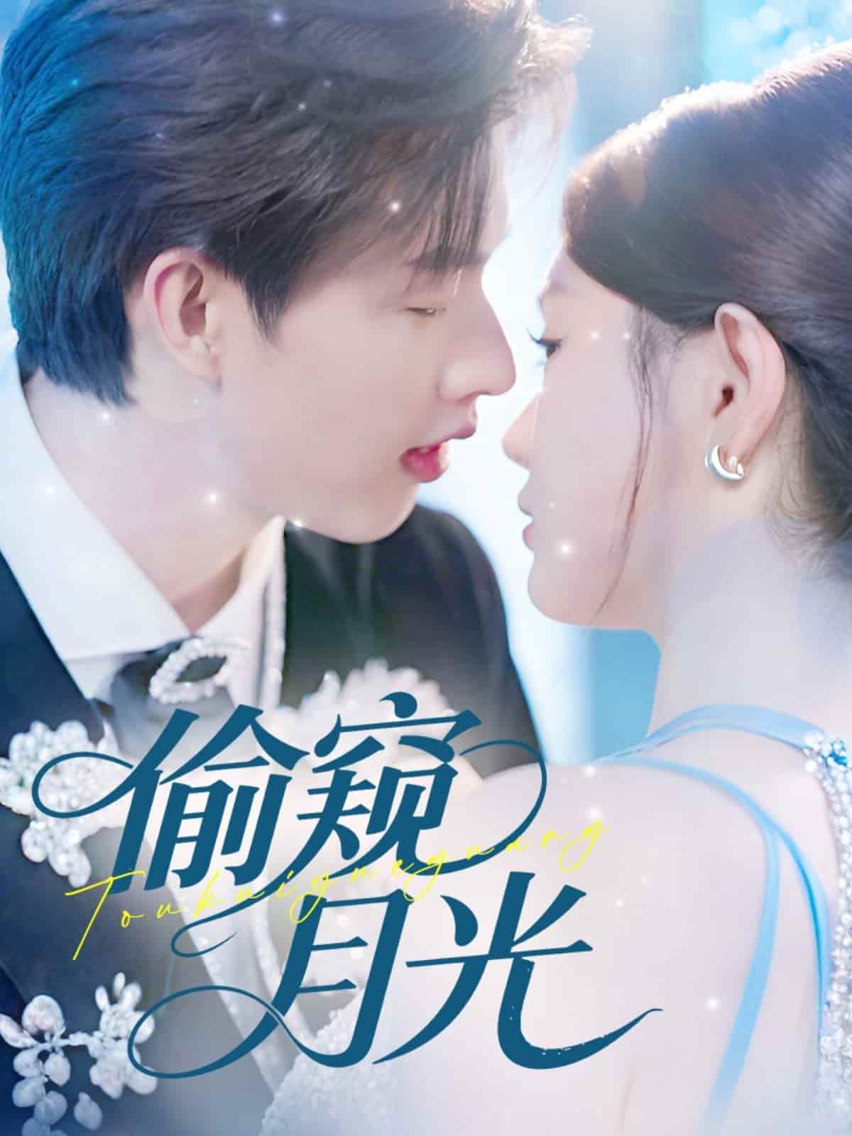 偷窥月光海报