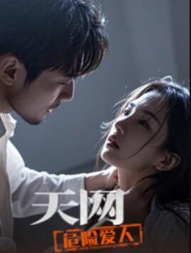 天网：危险爱人海报