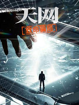 天网：致命骗局海报