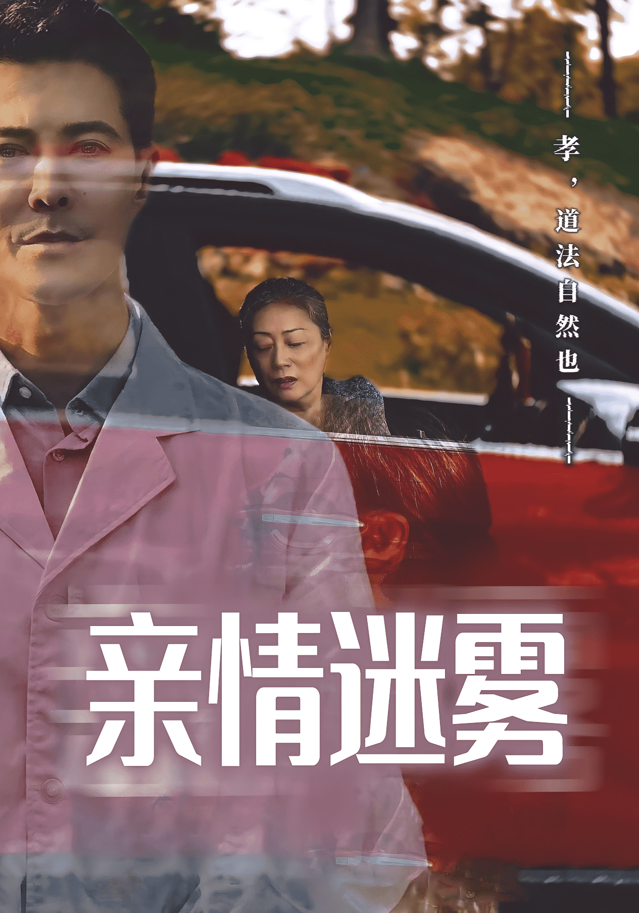 亲情迷雾海报