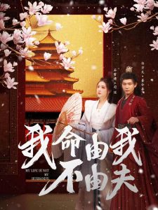 我命由我不由夫海报