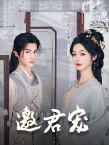 邀君宠海报
