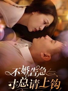 不婚告急寸总请上钩海报