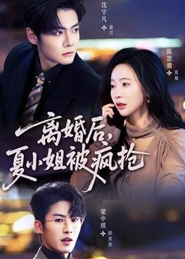离婚后，夏小姐被疯抢海报